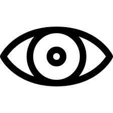 vision